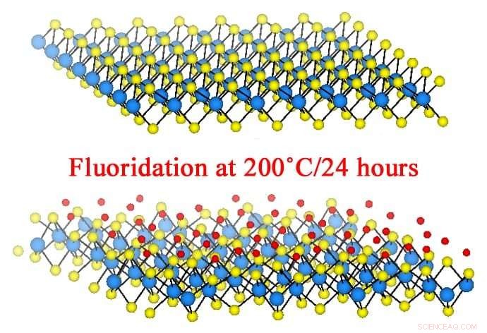 Fluorination of 2D Tungsten Disulfide Produces Metallic Islands and Uncovers Novel Optical & Magnetic Properties