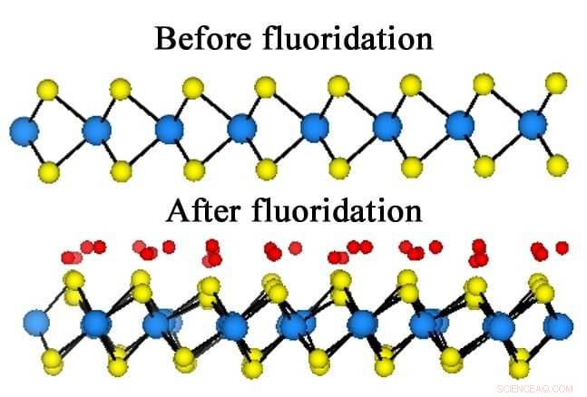 Fluorination of 2D Tungsten Disulfide Produces Metallic Islands and Uncovers Novel Optical & Magnetic Properties