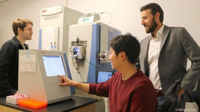 Cellular Cleanup Crews Shape How Our Bodies Manage Sugar