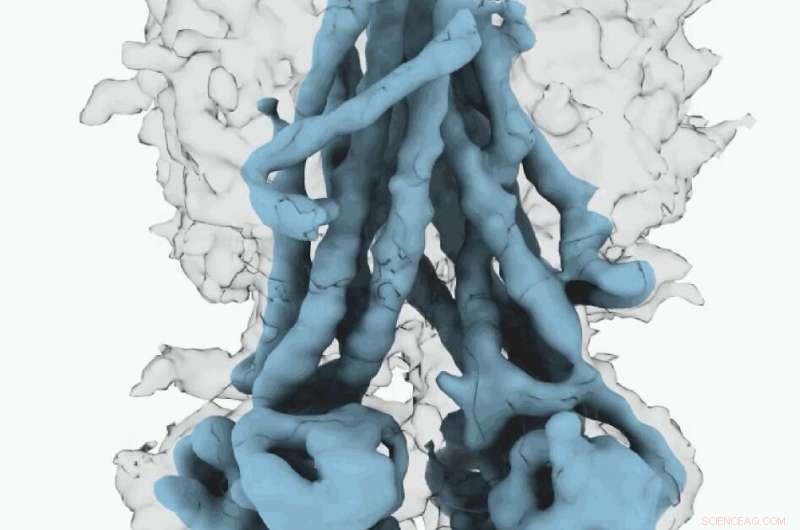 UNC & OHSU Scientists Unveil 3D Structure of Cystic Fibrosis Protein in Active and Inactive States