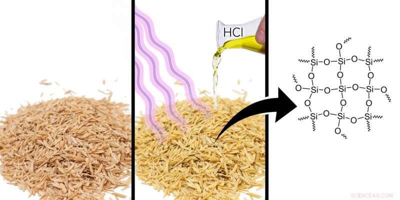 RUDN Chemist Develops High-Porosity Silica Nanocatalyst from Rice Husk