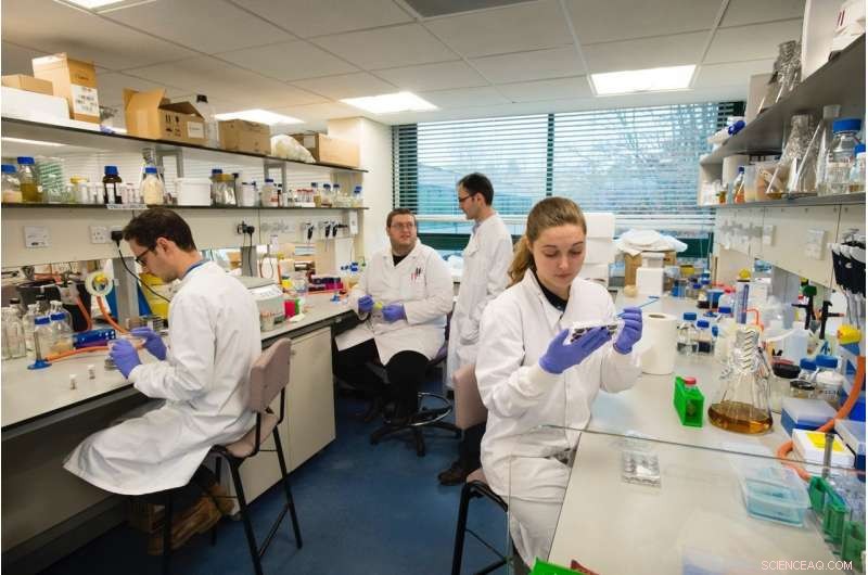 Scientists Activate Soil Bacteria DNA to Discover New Acidic Antibiotic