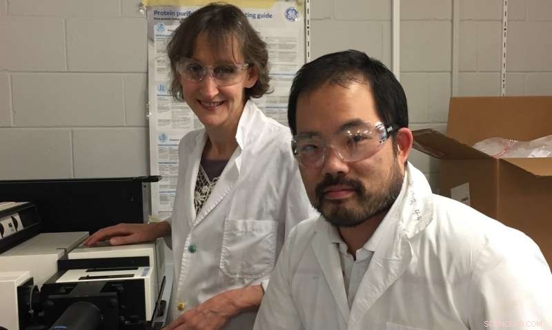 Ancient Enzymes: Catalysts Unlocking Breakthrough Discoveries