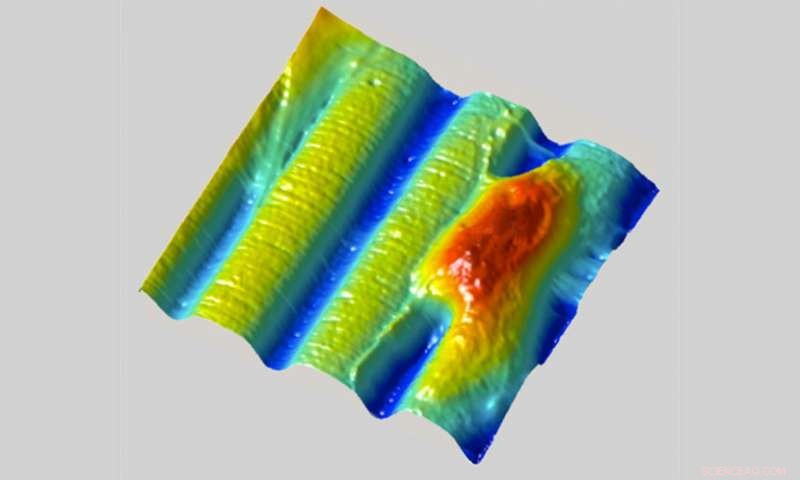 UT Austin Scientists Develop Real-Time Hydrogel Patterning for Cell Cultures