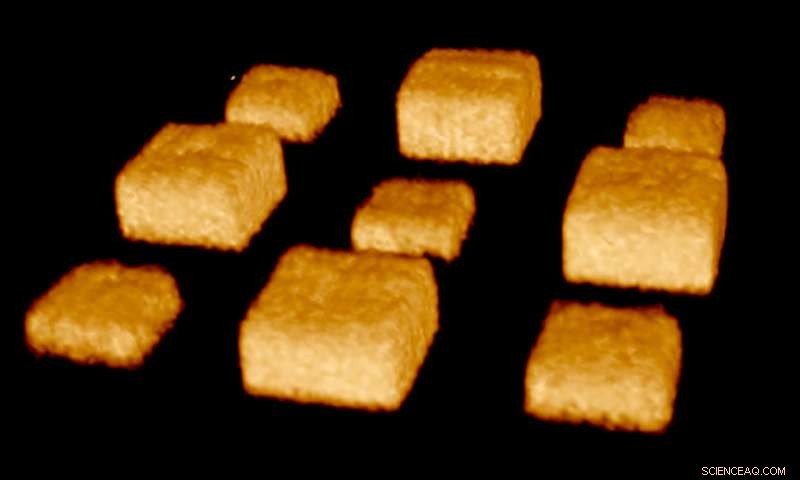 UT Austin Scientists Develop Real-Time Hydrogel Patterning for Cell Cultures