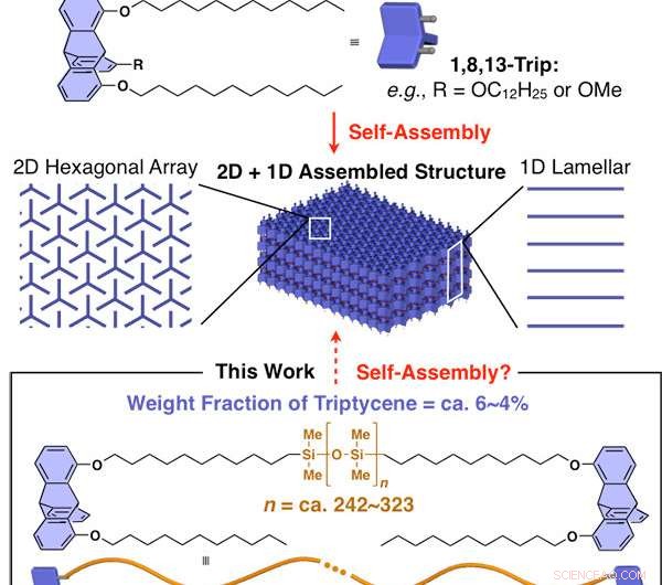 New Self-Assembling Silicone Polymers Form 3D Periodic Structures
