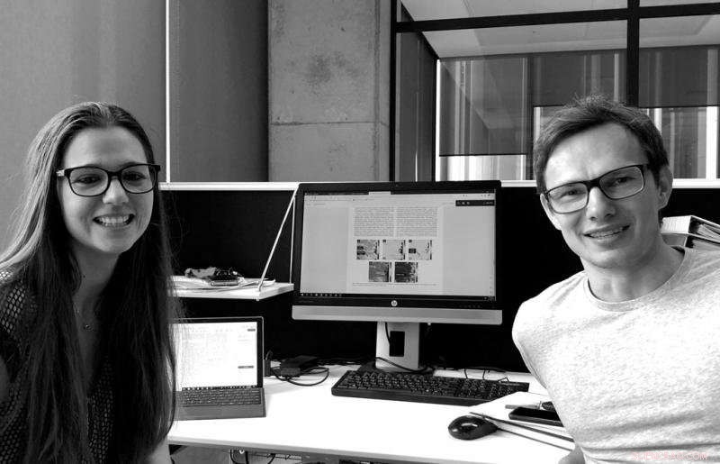 New Findings on Structural Material Behavior in Molten Salt Environments