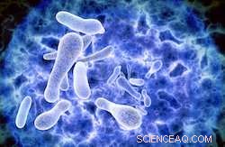 Rapid, Automated Legionella Detection for Water Sites—Results in Under 2 Hours