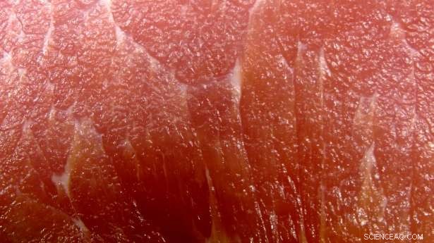 Bringing Lab‑Cultured Meat from Development to Market