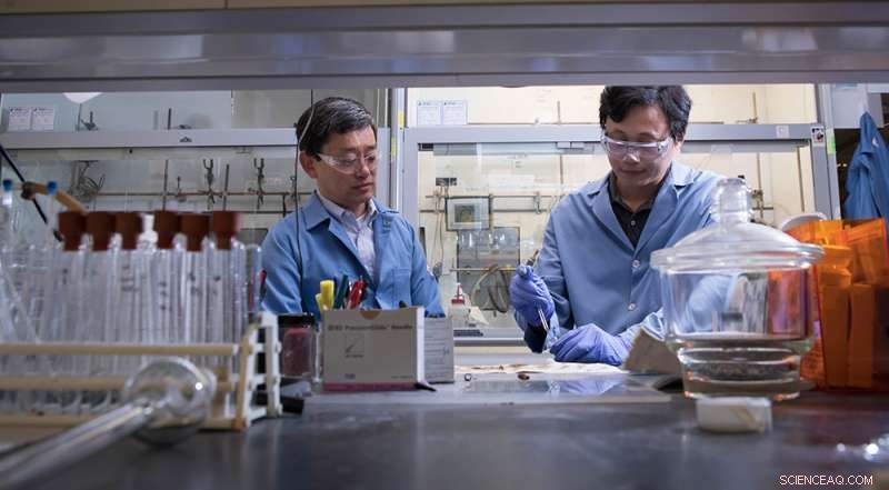 Advanced Tools for Synthesizing Enantiomerically Pure Molecules