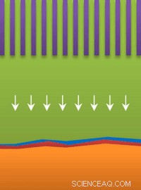 Whiskers, Surface Growth, and Dendrite Formation in Lithium Batteries