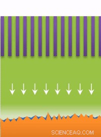 Whiskers, Surface Growth, and Dendrite Formation in Lithium Batteries