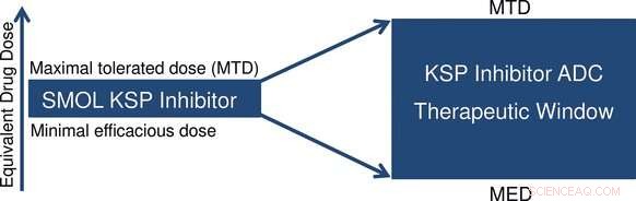 Innovative Antibody-Drug Conjugate: Flexible, Stable, and Highly Effective Cancer Therapy