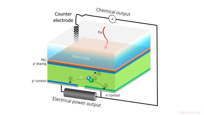 Double‑Duty Solar Cell: Harnessing Renewable Energy and Solar Fuels