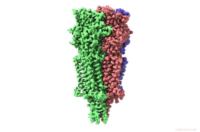High‑Resolution Cryo‑EM Uncovers the 5‑HT3 Receptor Structure and Functional Mechanism