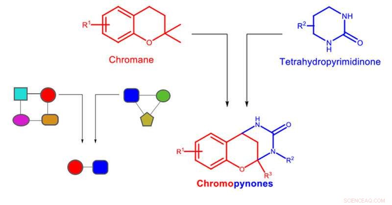 Revolutionizing Drug Discovery with Pseudo Natural Products