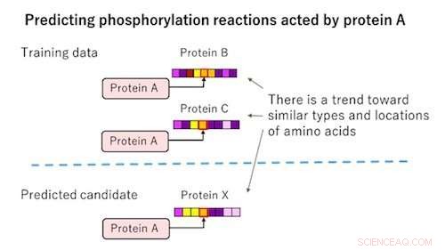 Fujitsu Unveils AI Tool to Predict Biochemical Reactions, Illuminating Genetic Disorder Mechanisms