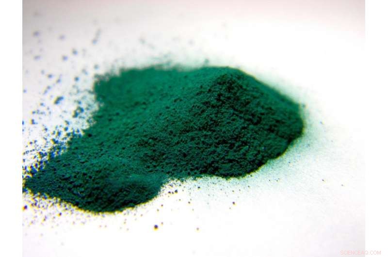 Scientists unveil new insights into apatite-structured inorganic pigments