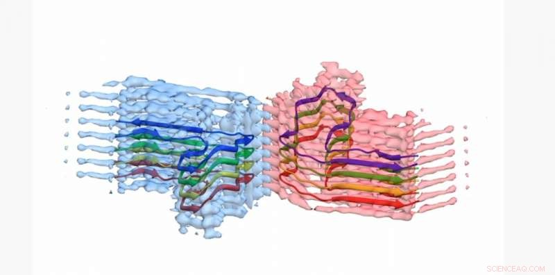 10-Foot Microscopes: Revolutionizing the Battle Against the World’s Deadliest Diseases