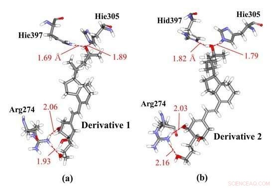 Chirality of Vitamin D Derivatives Alters Protonation of Their Receptor Protein