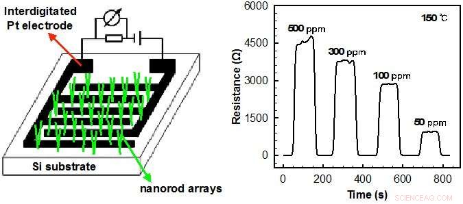 Highly Sensitive Toxic Gas Sensor with WO3-CuO Nanorod Arrays
