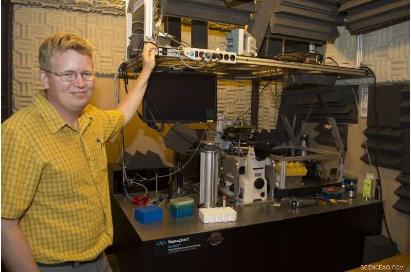 New Microscope Study Illuminates Cell Behavior, Unveiling Hidden Dynamics