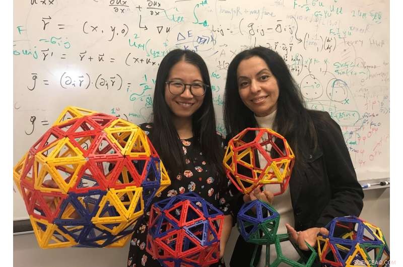 How Physicists Uncover the Formation of Large Spherical Viruses