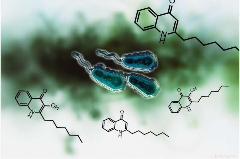 Disrupting Quorum Sensing in Pseudomonas aeruginosa to Neutralize Infection
