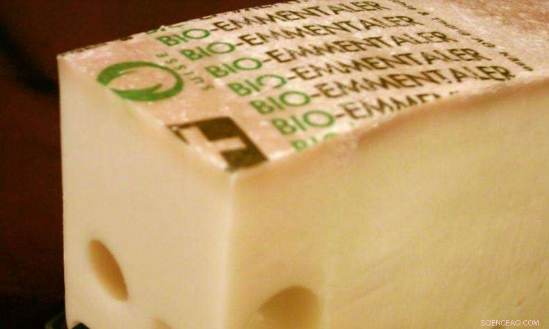 Enhancing the Flavor of Fermented Dairy Products: Innovative Techniques