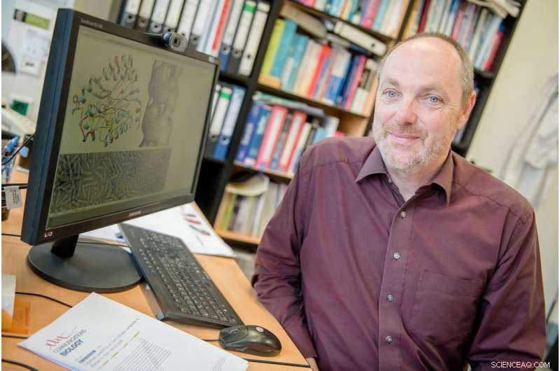 How External Structural Factors Influence Enzyme Function