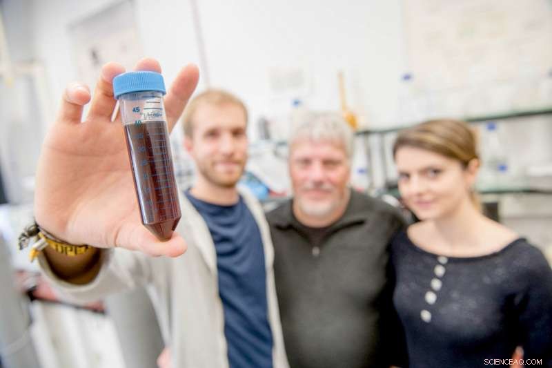 Engineered Metallic Nanocatalysts Mimic Enzyme Structures for Enhanced Catalytic Performance