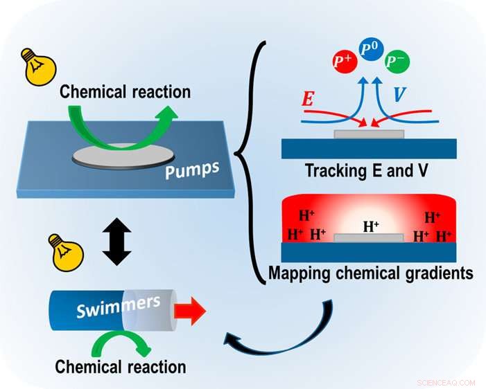 Micropumps: A Key Platform for Studying Chemically Propelled Micromotors