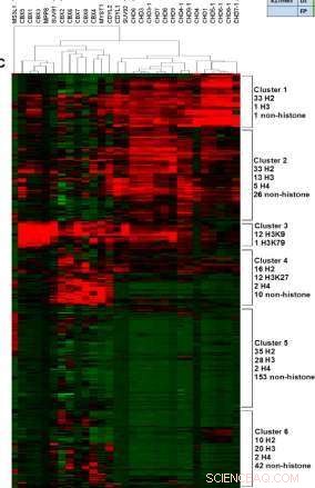 Scientists Advance Technique to Decode Biochemical Codes