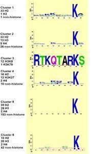 Scientists Advance Technique to Decode Biochemical Codes