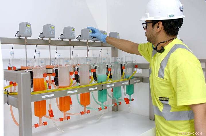 Pilot-Scale Plant to Harvest Rare Earth Elements in Coal Country s Core