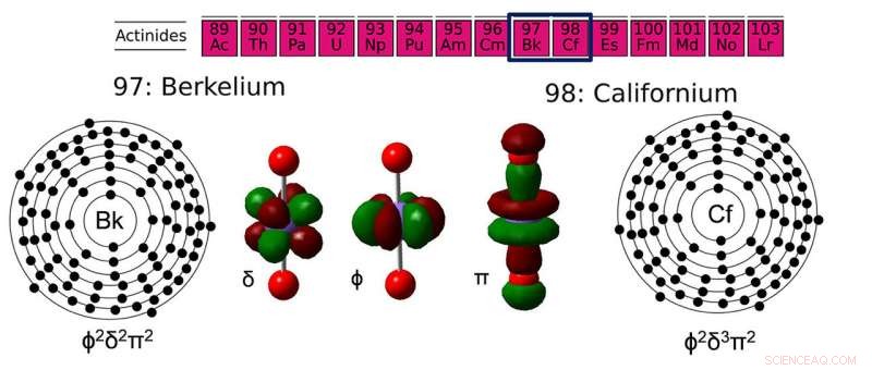 Heavier Actinides Show Increased Electron Delivery in +5 Oxidation State