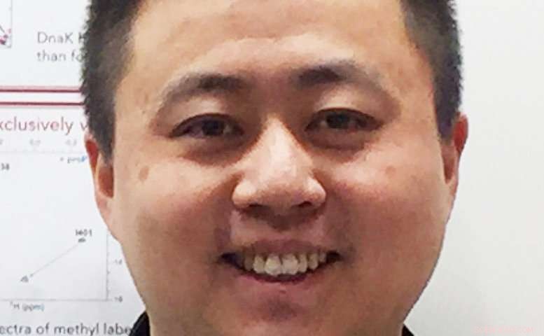 New Study Reveals How Hsp70 Chaperones Can Be Tuned: Distinct Behavior in Mammalian vs. Bacterial Cells