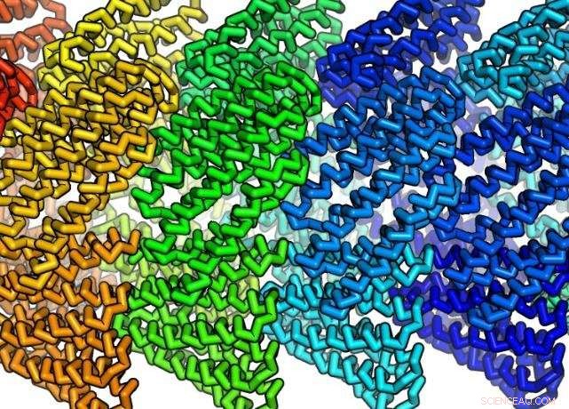 From Concept to Reality: Engineers Craft Self‑Assembling Protein Filaments