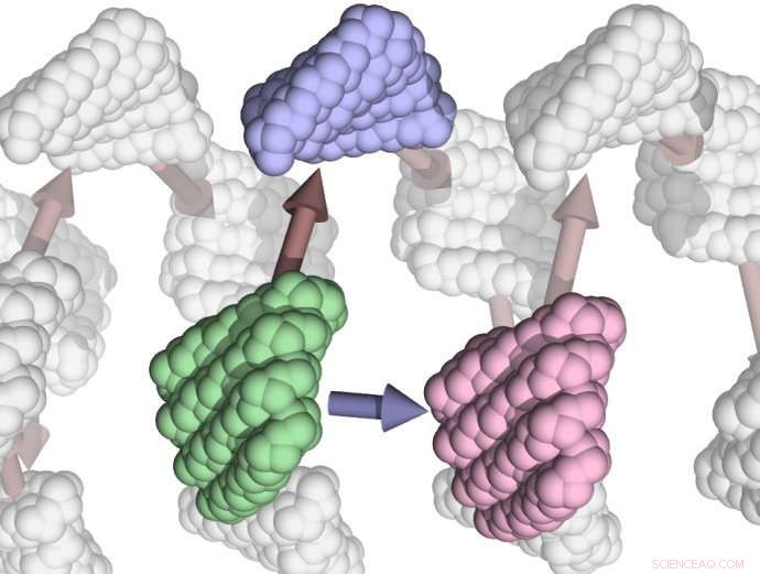 From Concept to Reality: Engineers Craft Self‑Assembling Protein Filaments