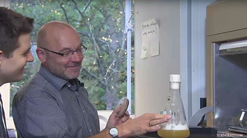 Harnessing Microorganisms for Efficient Biomass Conversion into Chemical Feedstocks