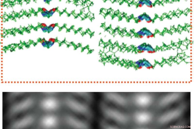 Scientists Achieve Atomic-Scale Imaging of Polymers