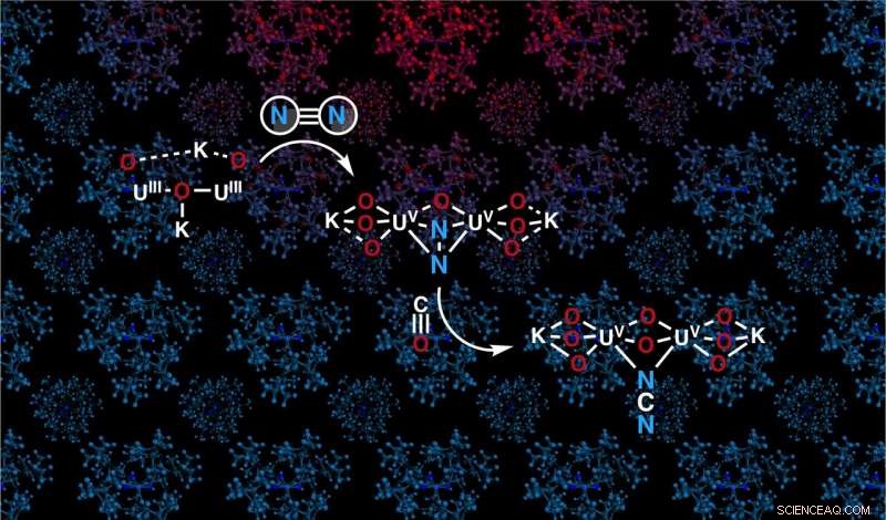 Efficient Ambient Nitrogen Fixation via Oxo‑Bridged Uranium Catalysts