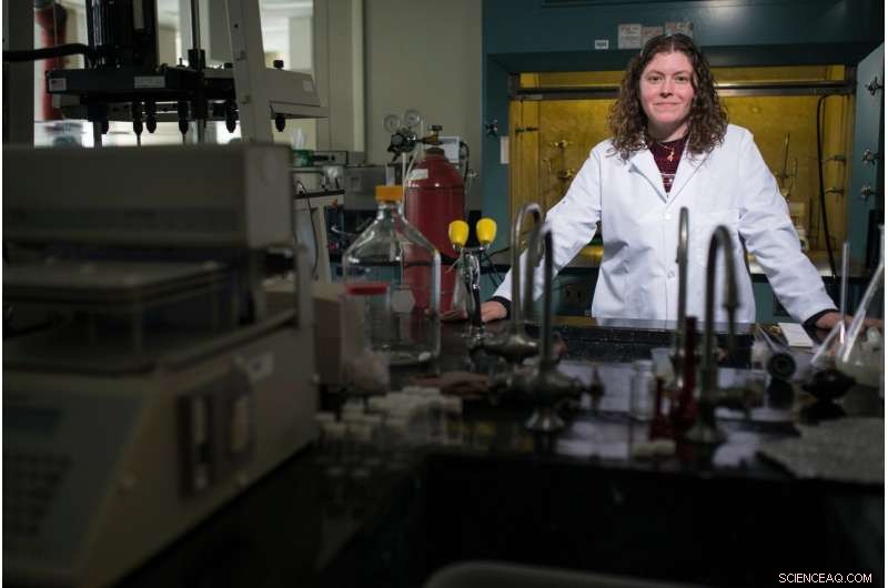 Advancing On‑Demand Scaffold Design for Tissue Regeneration