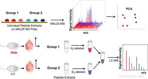 Exercise as a Powerful Ally Against Drug Addiction
