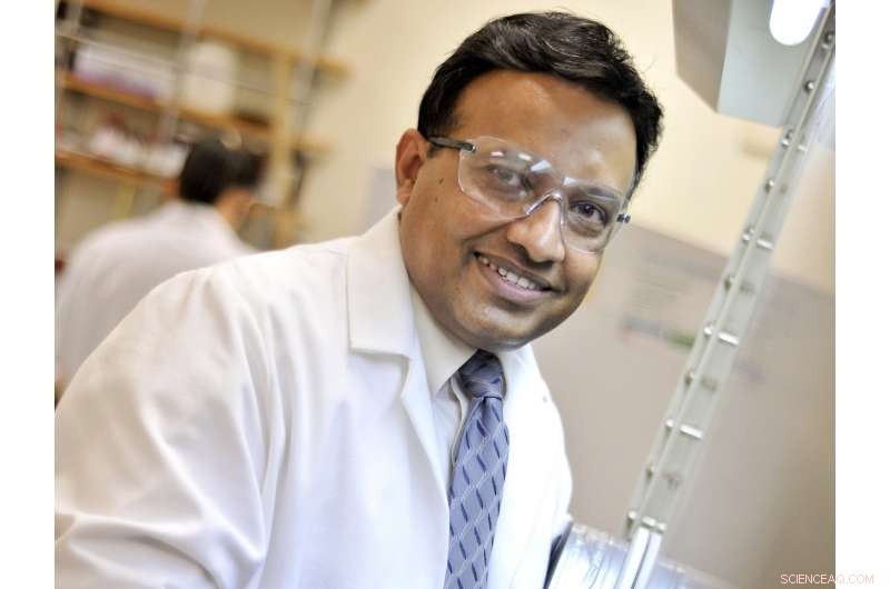 University of Texas at Arlington Discovers Cost‑Effective, Energy‑Efficient Copper Catalyst for Ethylene Purification