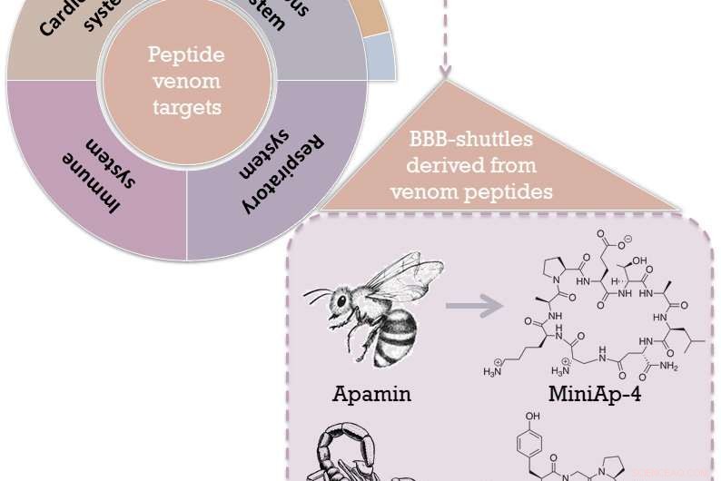 Scorpion Venom Peptides as a Novel Brain Drug Delivery System