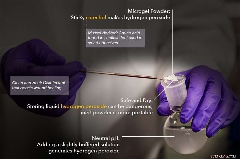 Microgel Powder: A New Solution for Infection Control and Rapid Wound Healing