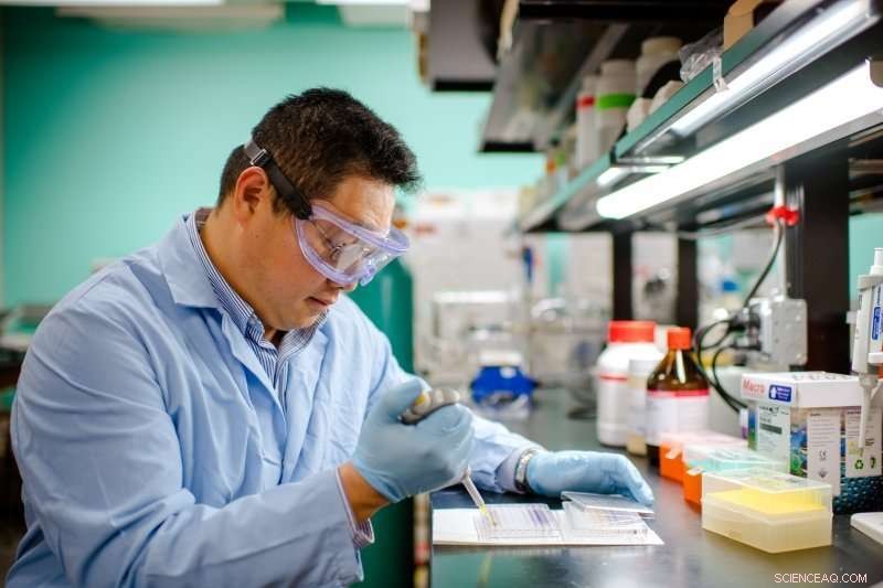 Microgel Powder: A New Solution for Infection Control and Rapid Wound Healing