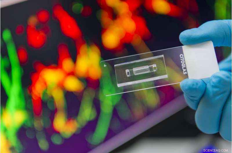 Revolutionary 3‑D Microarrayed Neuronal Culture Platform Developed