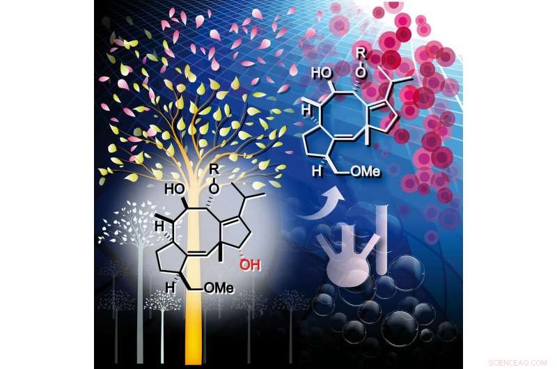 Modified Plant-Derived Toxin Shows Potent Anti‑Tumor Activity